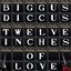 Twelve Inches Of Love