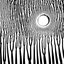The Grimmrobe Demos // extended