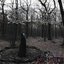 The Witch