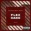 Flex Gang, Vol. 5