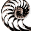 Avatar de 13angryLemmings