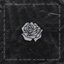 Black Rose - Single