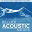 Mellow Acoustic Moods