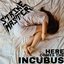 Here Comes The Incubus