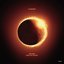 Mr Acid + Light up the Sky - Single