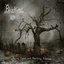 Spooky Tunes And Haunting Stories