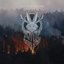 Step into the Fire [Explicit]