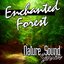 Enchanted Forest (Nature Sounds)