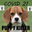 Puppy Killers - Single