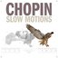 Chopin Slow Motions