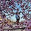 huckleberry lemonade - Single