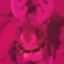 signal_decay için avatar