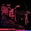Bold - Single
