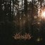 Wake Me Up - Single