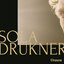 Sola drukner