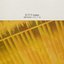Amberscreen カセット 80