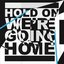 Hold On We're Going Home - Single