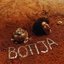 Botija