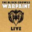 Warpaint Live