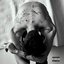 That Body (Feat. Hannah Jang) - Single