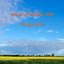 Fields of Passing Time