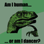 Avatar di perfectTurtle