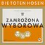 Zamrozona Wyborowa