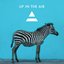 Up In The Air - Single