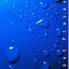 Wet Places
