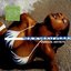 Soca Gold 2000