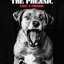 Take A Phensic