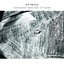 Fit to Fly (feat. Danilo Gallo & U.T. Gandhi)