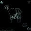 alr. - Single