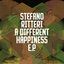 A Different Happiness