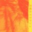 Marrakesh on Monday - Single