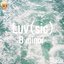 Luv（sic） B minor