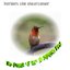 The Flight of the Humming Bird - Single
