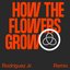 How The Flowers Grow (Rodriguez Jr. Remix)
