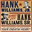 Hank Williams Jr. Sings Hank Williams Sr.