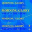 Morning Glory - Single