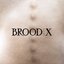 Boss Hog - Brood X album artwork