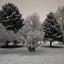 Monoisms: Winter Reflections - EP