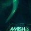 Best Of Amish 82