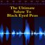 The Ultimate Salute To Black Eyed Peas