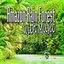 Amazon Rain Forest with Music (Music and Nature Sound)