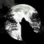 Avatar di MetalWolf_