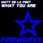 What You Are