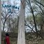 Untitled 1 - Single