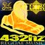 432hz Reggae Music