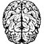 Mind Defect